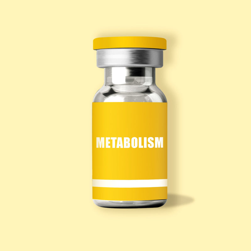 Metabolism